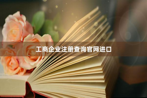 工商企业注册查询官网进口